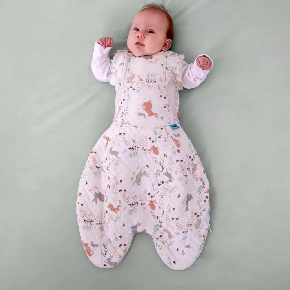 2.5 Tog Swaddle to Sleep Bag - Storybook