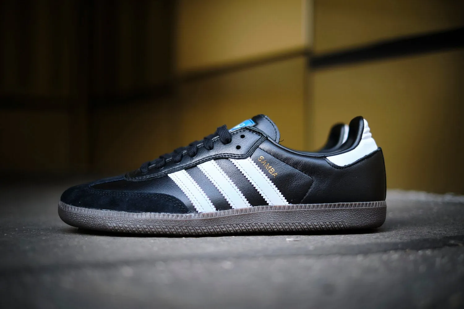 Adidas Samba ADV Unisex Skate Schuhe