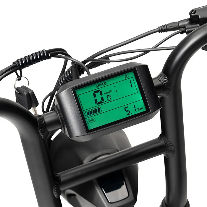 Ampd Brothers Ace-X Plus  Electric Bike