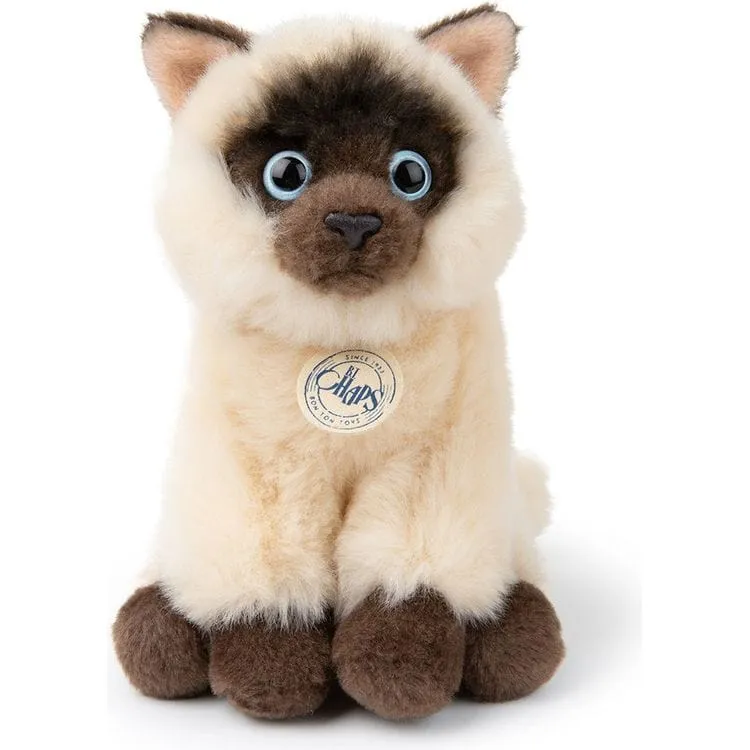 BT Chaps Eddie the Siamese Cat Plush in Giftbox - 6.5"