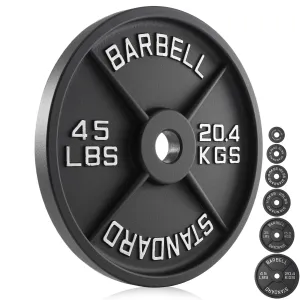 Set of 2 Cast Iron Olympic 2-inch Weight Plates